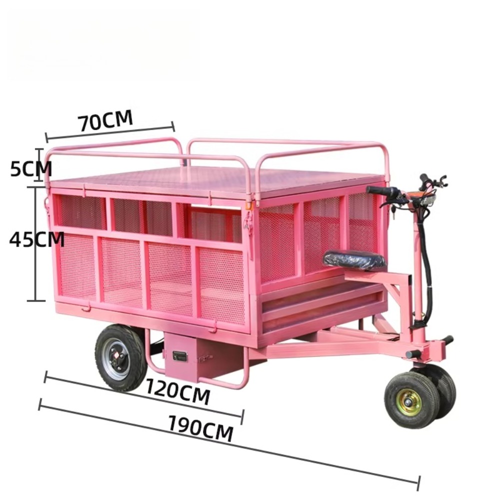 3 Wheel Electric Flat Cart Rev - Snacks Food Stall recension och pris
