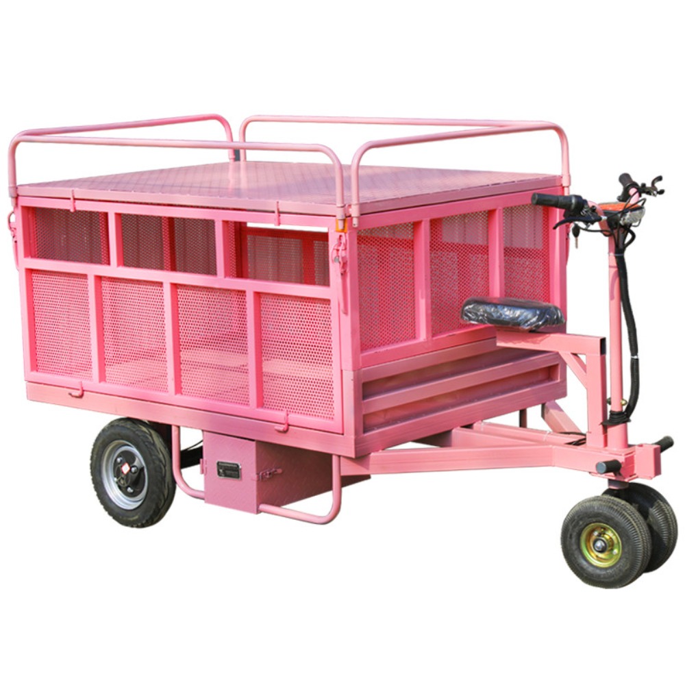 3 Wheel Electric Flat Cart Rev - Snacks Food Stall recension och pris