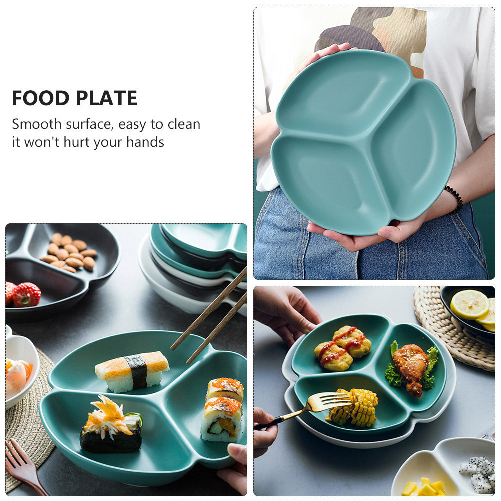 1Pcs Ceramic Divided Serving P - Food And Snacks For Picnic recension och pris
