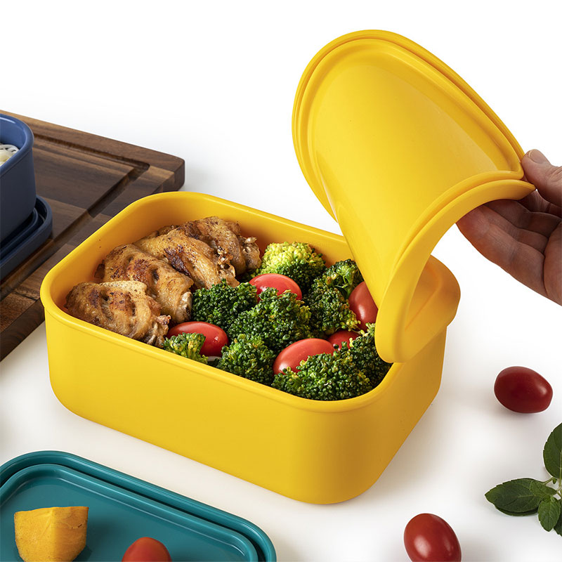 Food-grade Silicone Lunch Box  - Food And Snacks For Picnic recension och pris